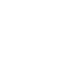 Fallon Cares Initiative